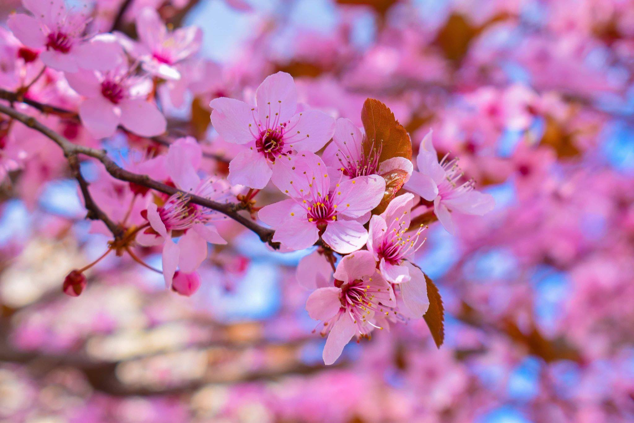 178997963 3991675510915215 2082409176248741809 n