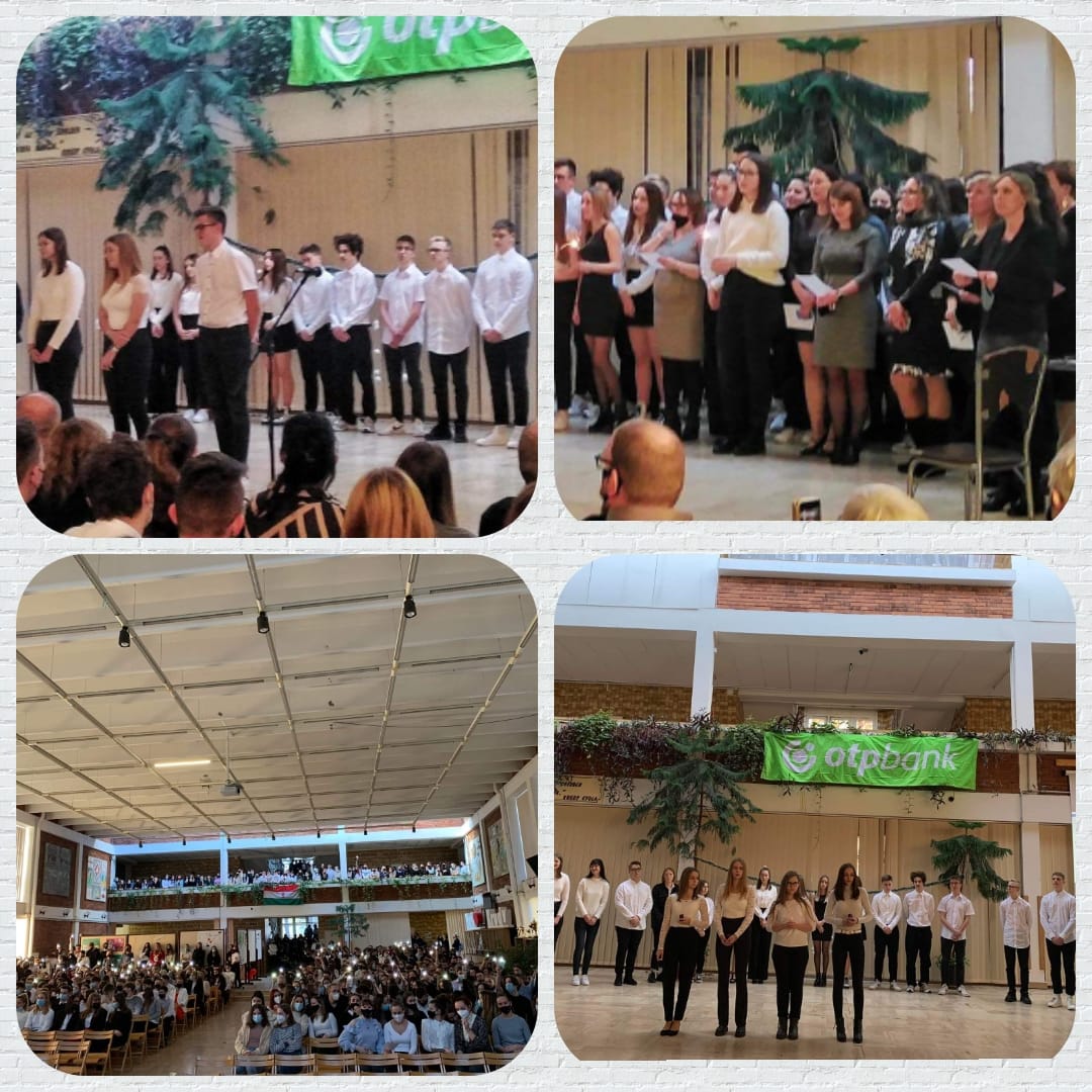 269743125 331240775501528 7694110627447224256 n