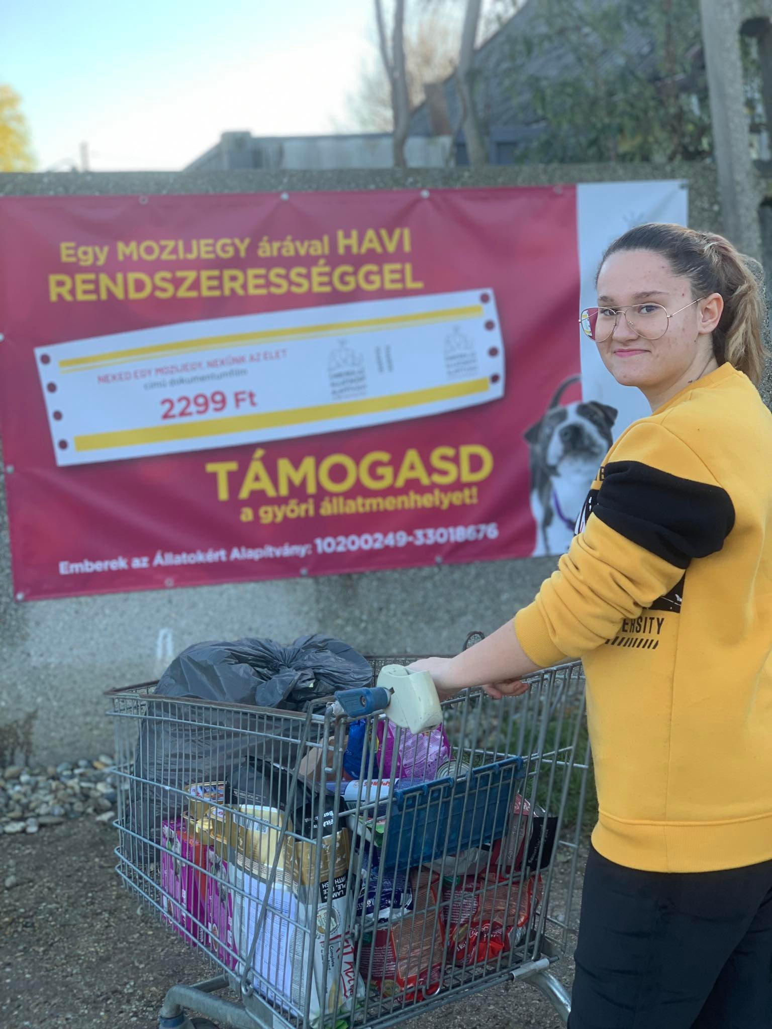 Győri Állatmenhely 2022.11