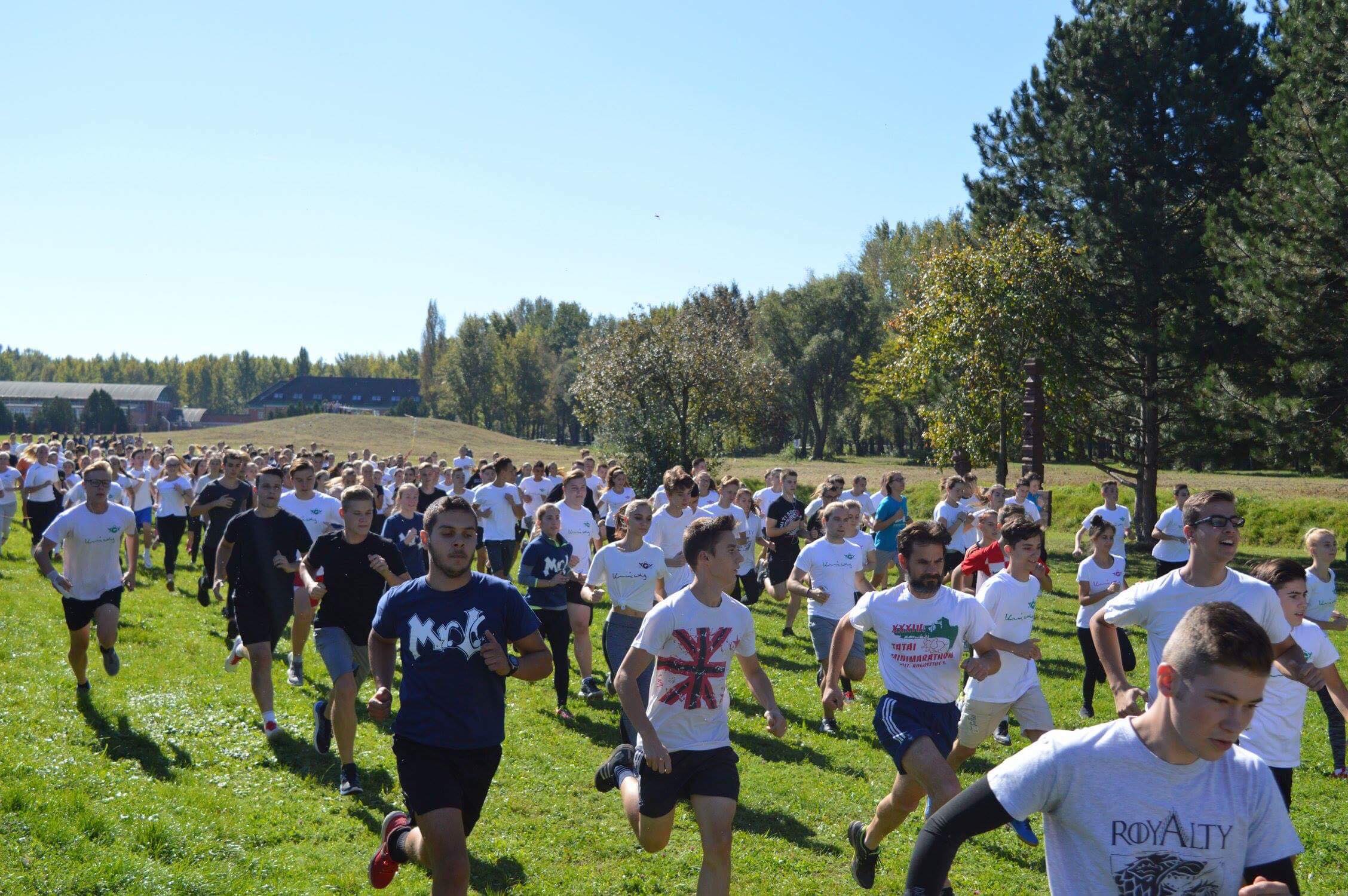 42803620 267573990760193 4412230649188974592 n