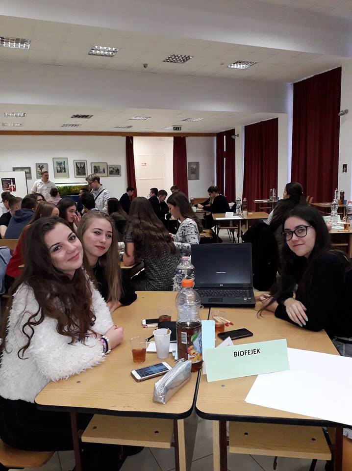 48396306 2202535579776837 6492545106078334976 n