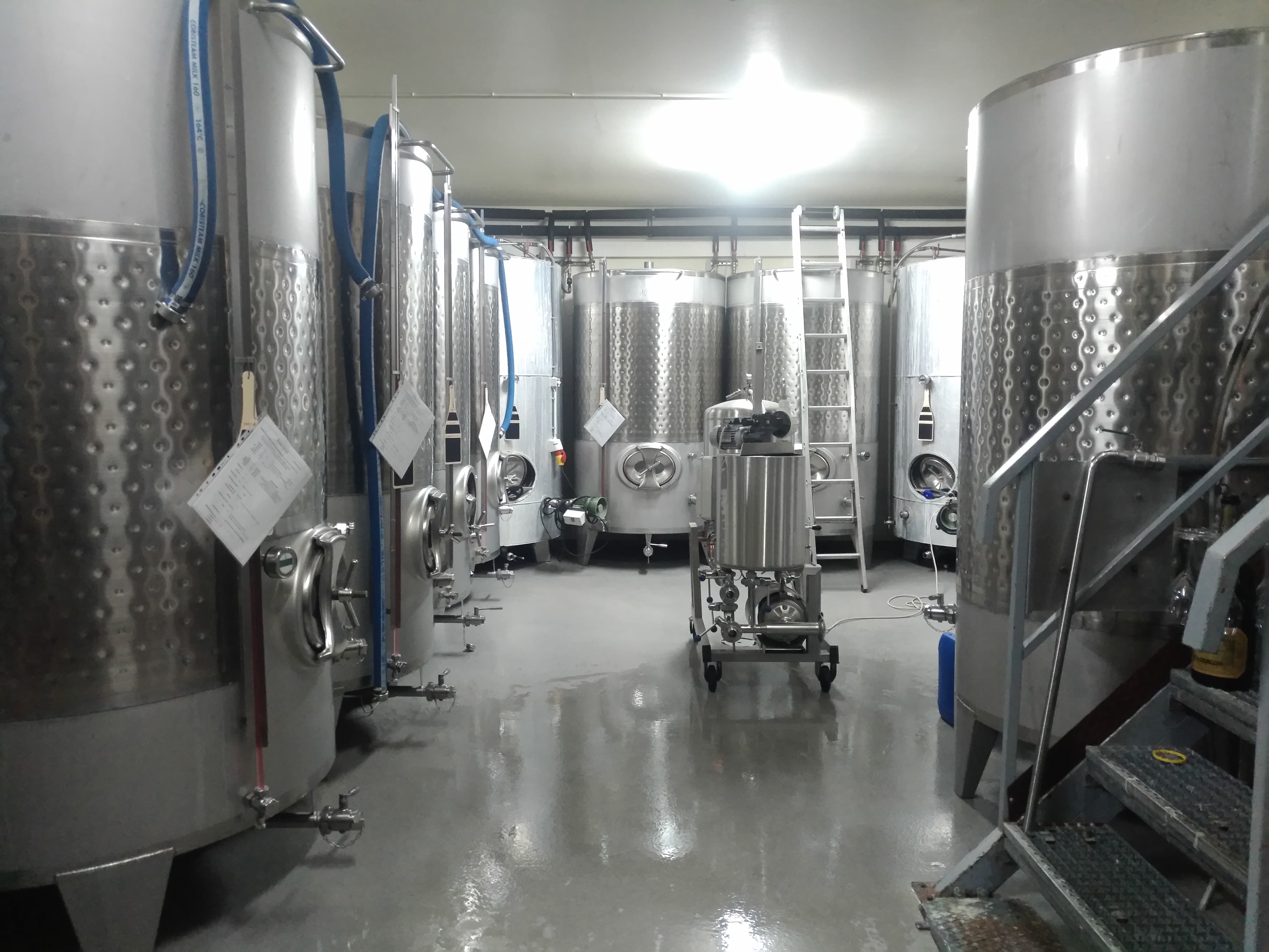 43088514 2141034895931277 6672174197608808448 n