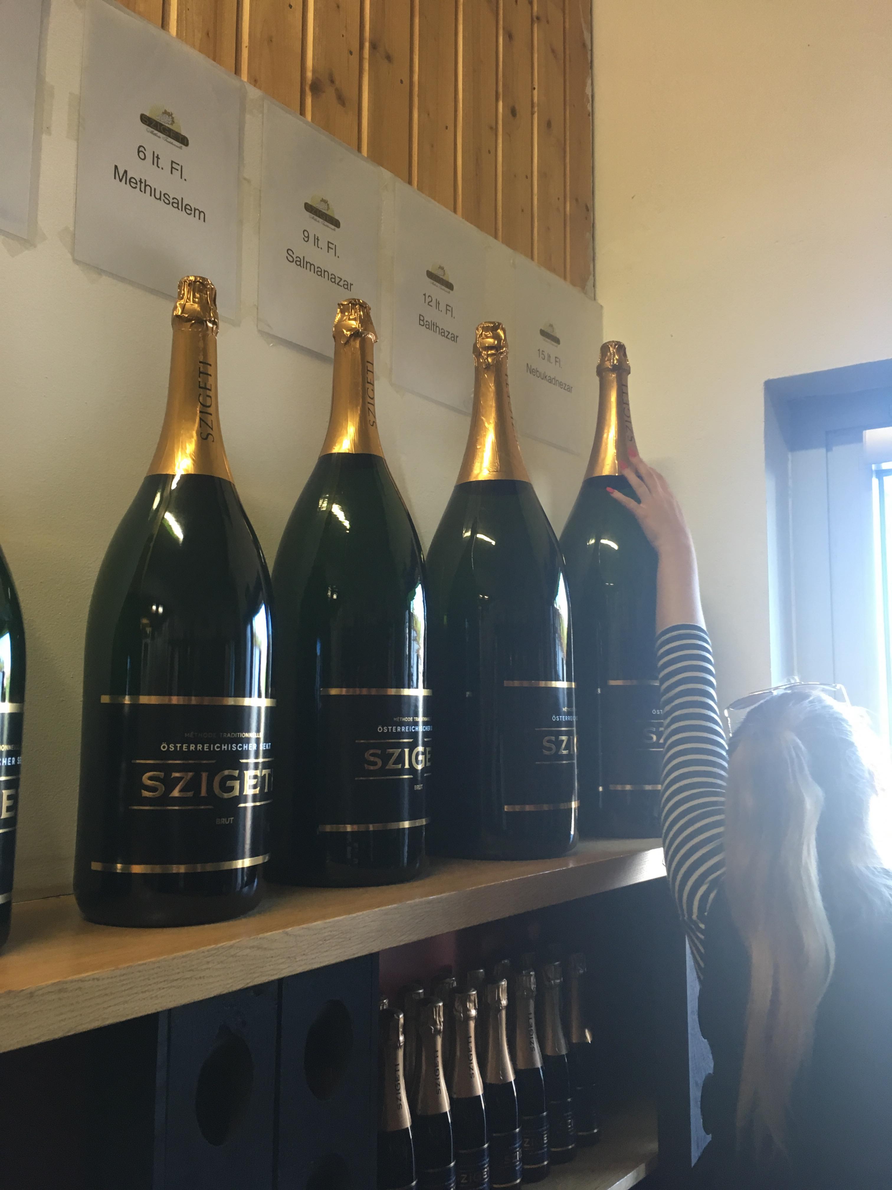 43119271 1550509261717262 8106977738746757120 n